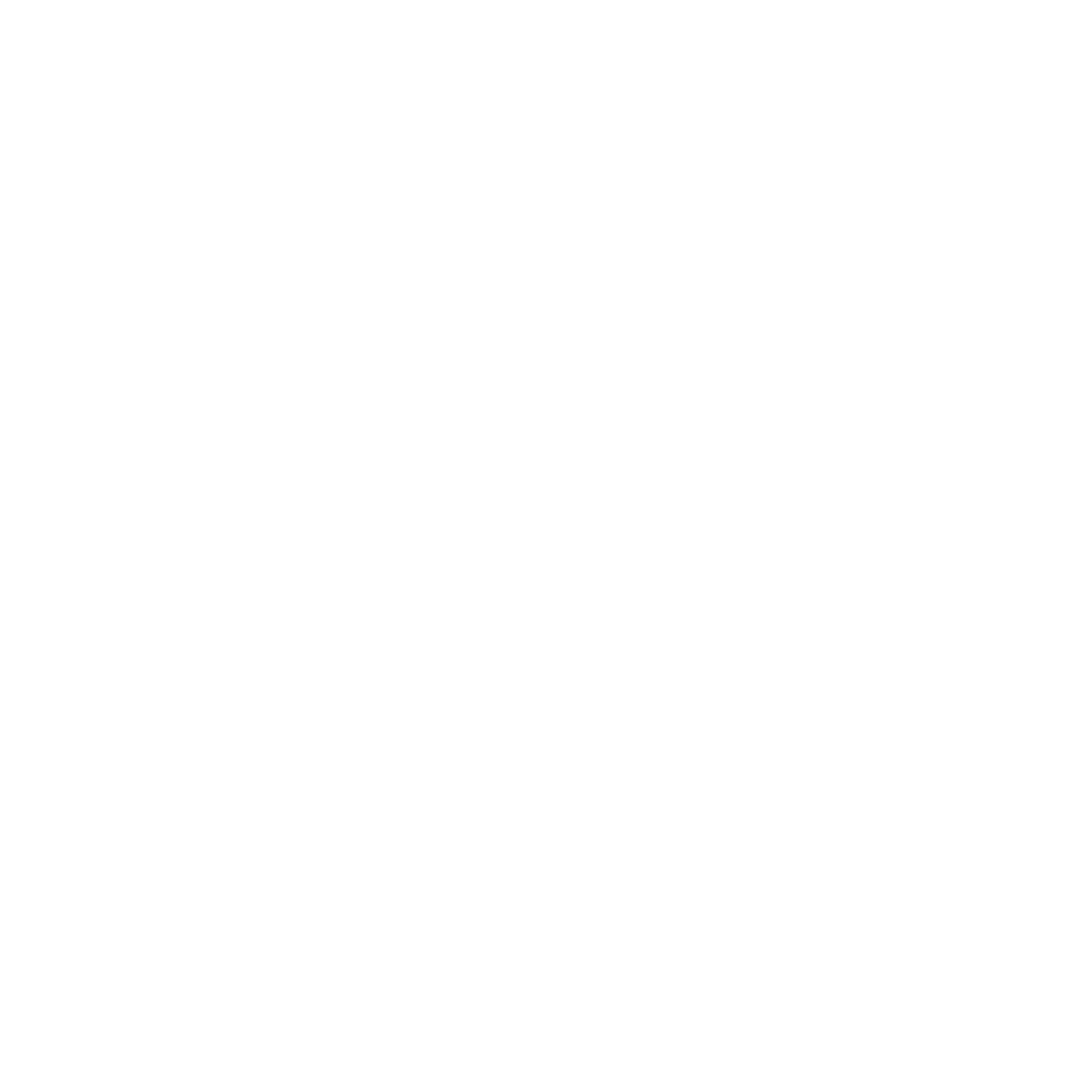 bl king logo